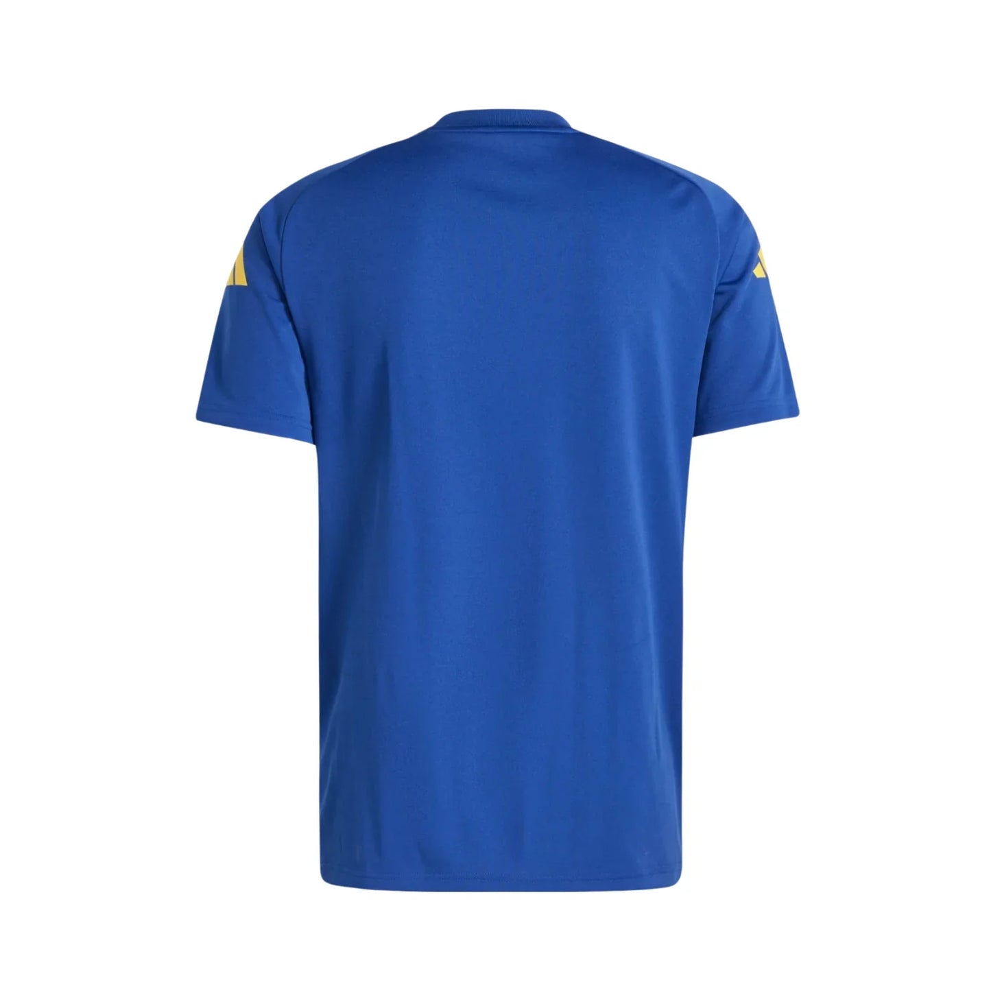 Camisola Seleção Espanha Treino 24/25