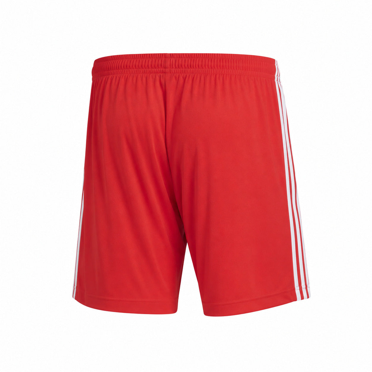 Short Benfica 25/26 - Edição Especial
