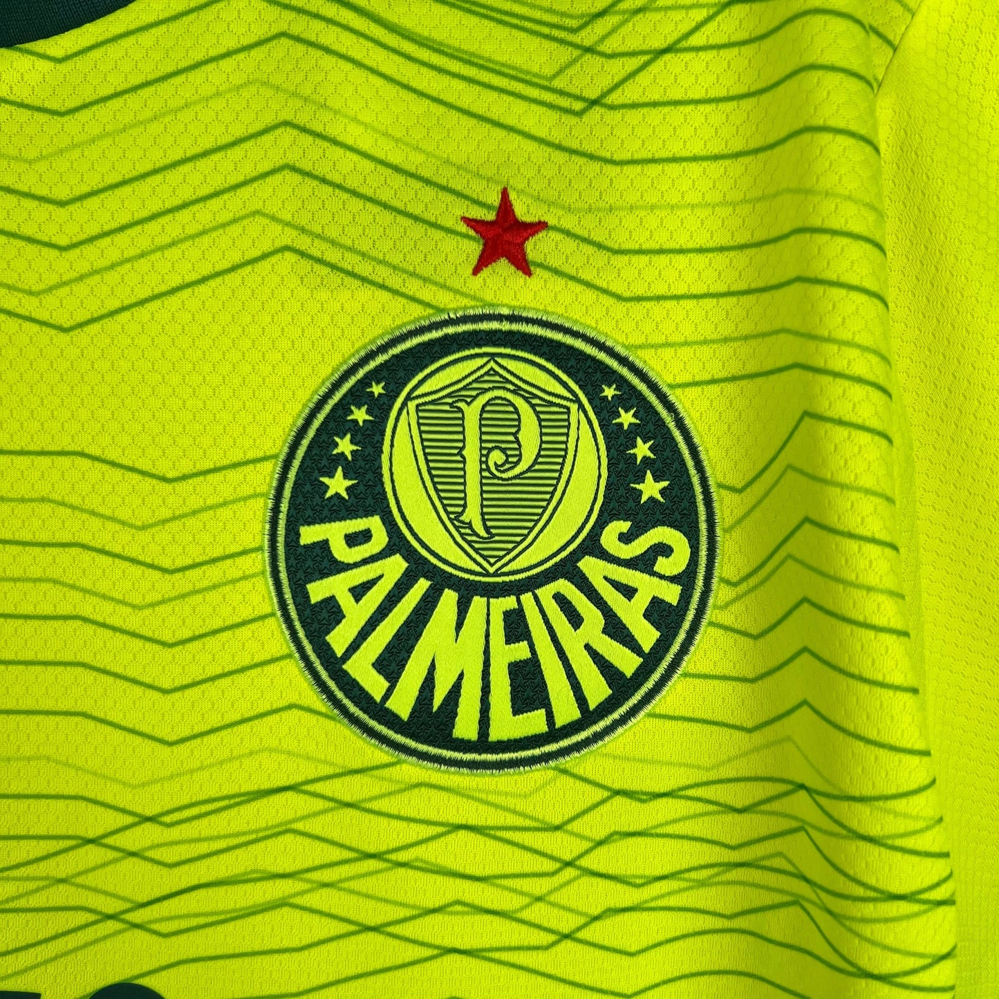 Camisola Palmeiras III 23/24