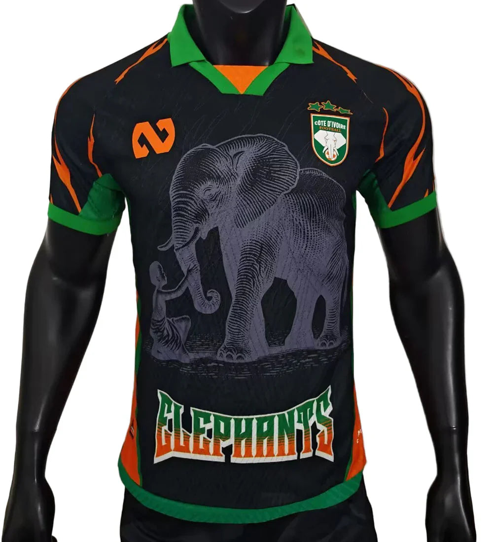 Camisola Jogador Costa do Marfim 25/26 - Edição Especial