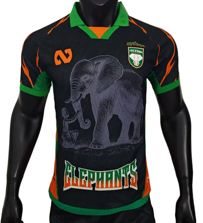 Camisola Jogador Costa do Marfim 25/26 - Edição Especial