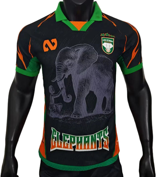 Camisola Jogador Costa do Marfim 25/26 - Edição Especial