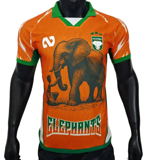 Camisola Jogador Costa do Marfim 25/26 - Edição Especial