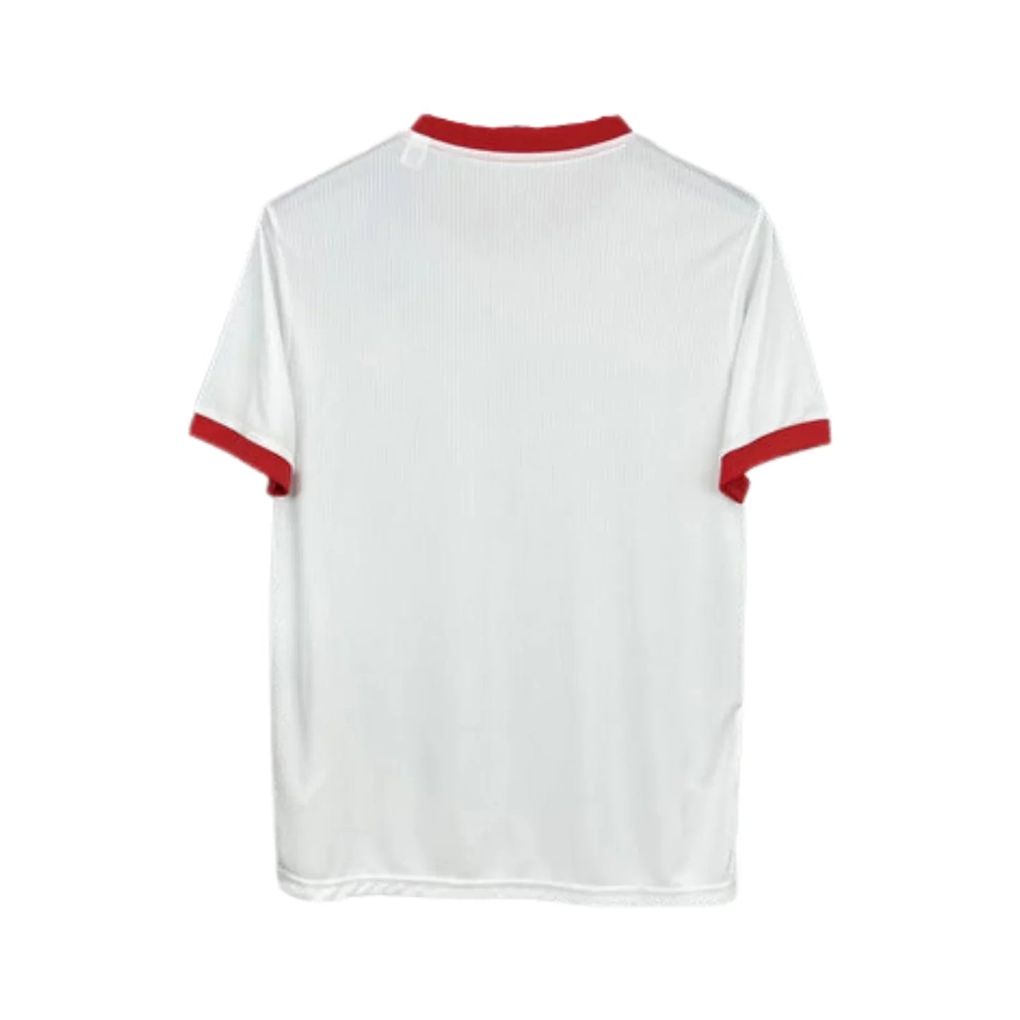 Camisola Benfica 24/25 - Edição Especial