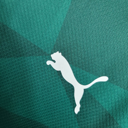 Camisola Manga Longa Palmeiras I 23/24 - Verde